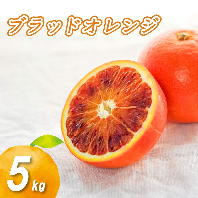 【2026年1月下旬より発送】 ブラッドオレンジ 5kg | 数量選択可 みかん ミカン 蜜柑 柑橘 数量限定 愛媛県産 松山市 中島 低農薬 愛媛 ふるさと納税 5kg ¥12,000