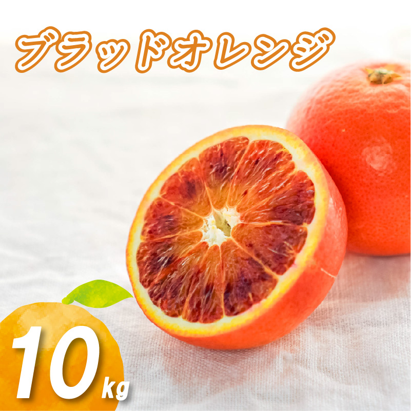 【2026年1月下旬より発送】 ブラッドオレンジ 10kg 10kg ¥22,000