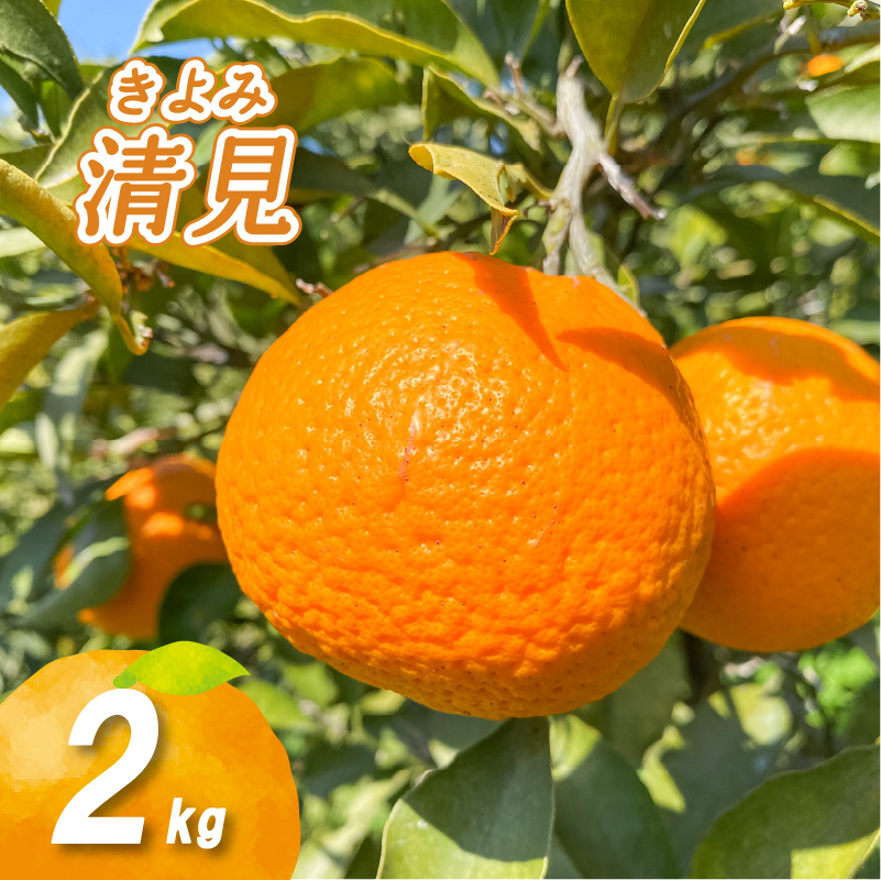【2月下旬より発送】低農薬栽培清見 2kg 清見 2kg