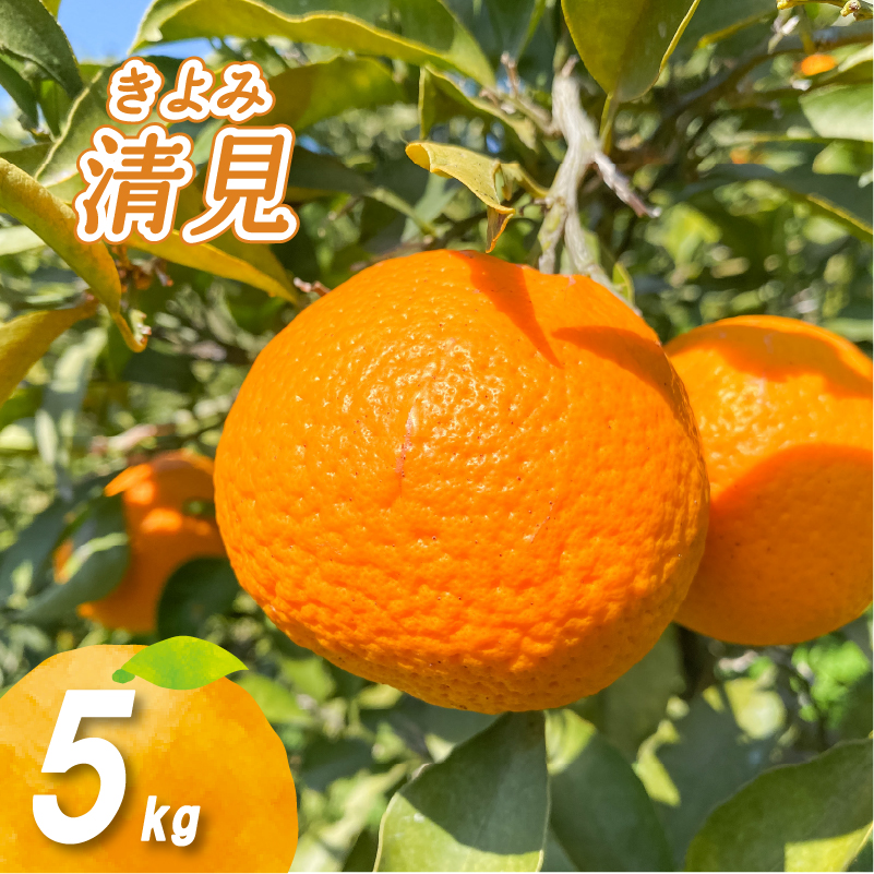 【2月下旬より発送】低農薬栽培清見 5kg 清見 5kg