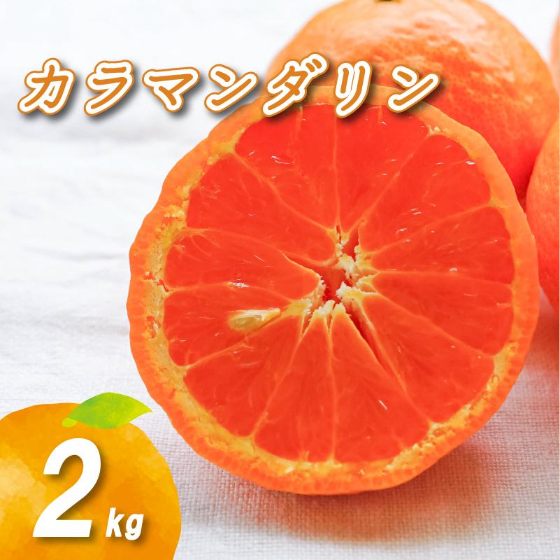 【2026年4月中旬より発送】カラマンダリン 2kg | 数量選択可 みかん ミカン 蜜柑 柑橘 数量限定 愛媛県産 松山市 中島 愛媛 送料無料 2kg ¥6,000