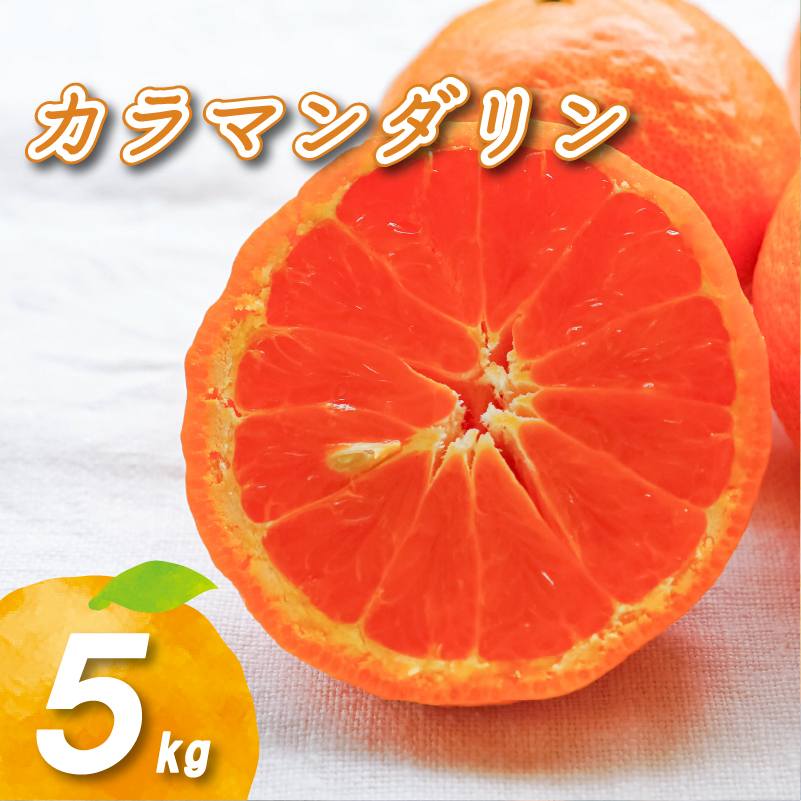 【2026年4月中旬より発送】カラマンダリン 5kg | 数量選択可 みかん ミカン 蜜柑 柑橘 数量限定 愛媛県産 松山市 中島 愛媛 送料無料 5kg ¥10,000