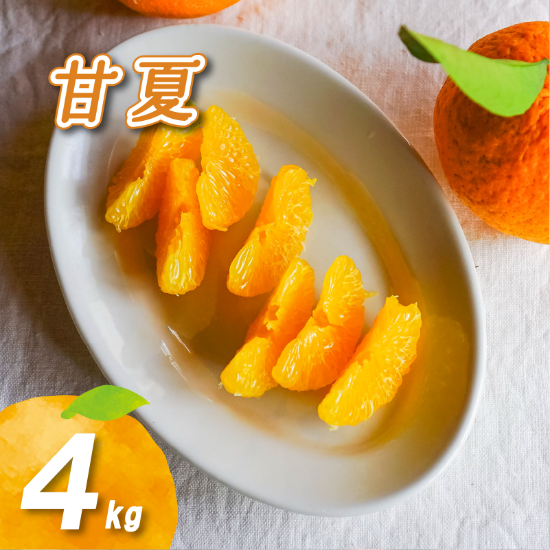 【2026年2月下旬より発送】農薬不使用 甘夏 4kg | 数量選択可 みかん ミカン 蜜柑 柑橘 数量限定 愛媛県産 松山市 中島 愛媛 ふるさと納税 4kg ¥6,000