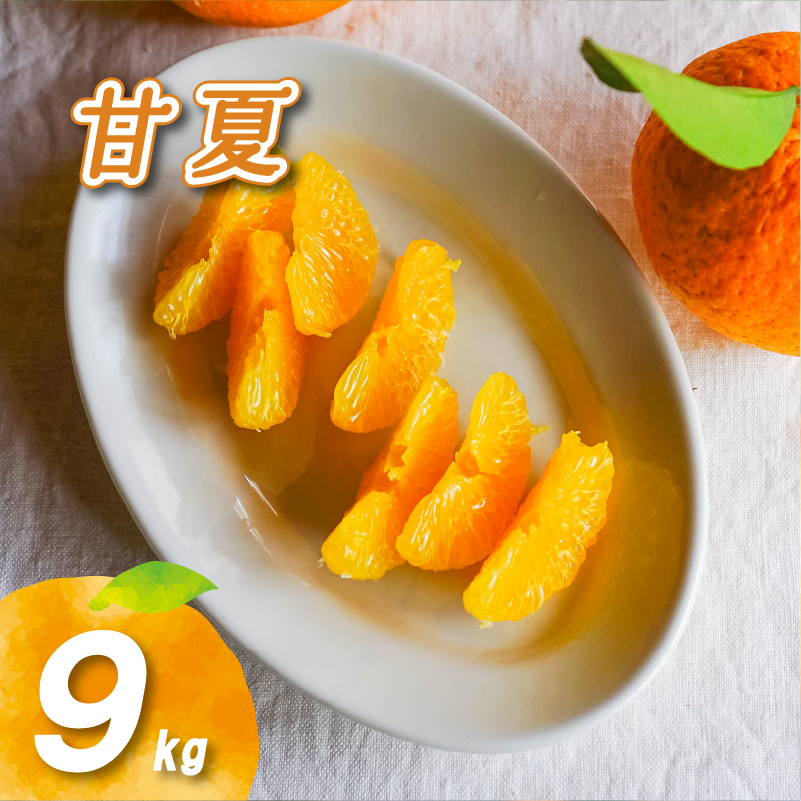 【2026年2月下旬より発送】農薬不使用 甘夏 9kg | 数量選択可 みかん ミカン 蜜柑 柑橘 数量限定 愛媛県産 松山市 中島 愛媛 ふるさと納税 9kg ¥10,000