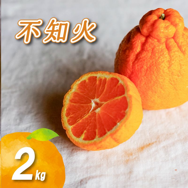 【3月中旬より発送】 不知火 2kg 不知火 2kg