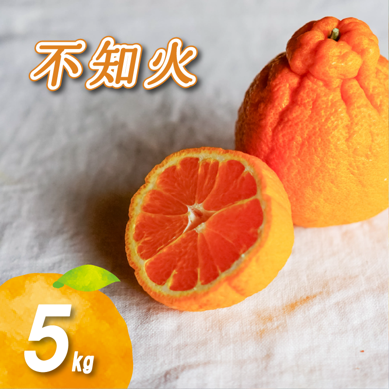 【3月中旬より発送】 不知火 5kg 不知火 5kg