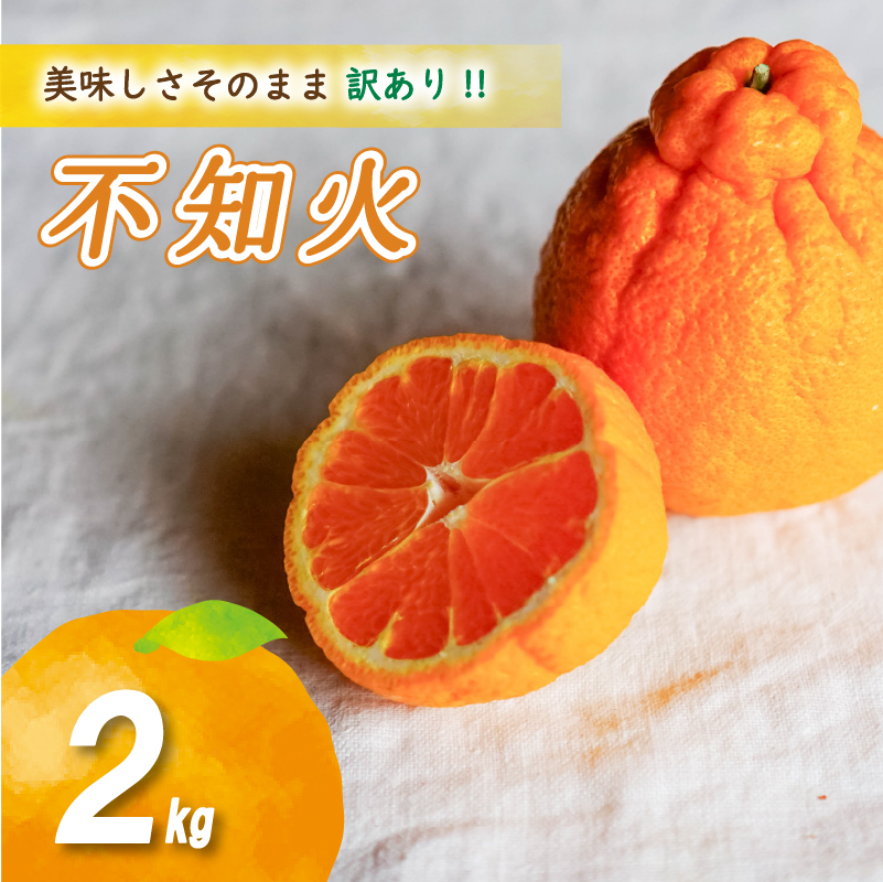 【2026年4月上旬より発送】  訳あり不知火 2kg | 数量選択可 みかん ミカン 蜜柑 柑橘 数量限定 愛媛県産 松山市 中島 愛媛 ふるさと納税 2kg ¥5,000