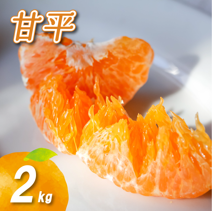 【2026年1月末より発送】 甘平 2kg | 数量選択可 みかん ミカン 蜜柑 柑橘 数量限定 愛媛県産 松山市 中島 愛媛 ふるさと納税