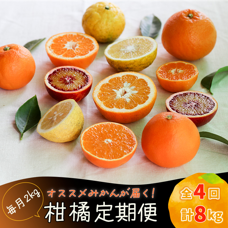 【12月から発送】柑橘定期便 全4回 2kg × 4回 計8kg  品種おまかせ | 家庭用 みかん 温州 蜜柑 ミカン 果物 フルーツ 定期便 旬 季節限定 数量限定 NPO法人農音 愛媛県 松山市 中島 農音 2kg×4回 ¥26,000