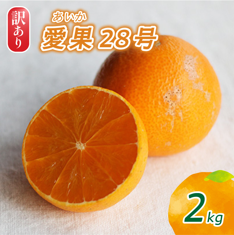 2025年12月頃から発送】 訳あり 愛果28号 ( 紅まどんな と同品種) 家庭