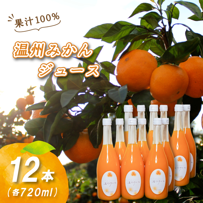【2026年2月上旬から順次発送】温州みかんジュース 720ml × 12本 果汁100% 無添加 ストレートジュース 数量選択可 | みかんジュース 果汁100% みかんジュース ストレート 100% ジュース 無添加 柑橘 果汁飲料 みかんジュース NPO法人農音 愛媛県 松山市 中島 720ml×12本