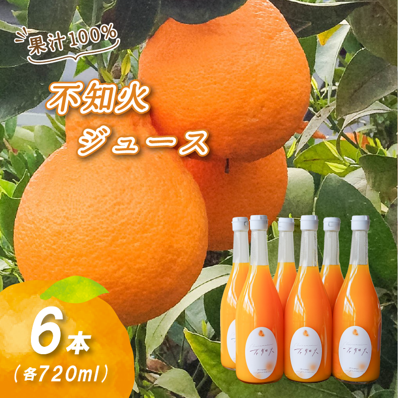 不知火ストレート果汁100％ジュース 720ml×6本 6本