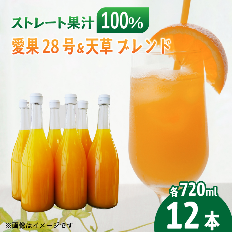 あいか＆天草ブレンド 果汁100％ ジュース 720ml×12本 | 愛果28号 紅まどんな と同品種 果汁100% 無添加 ストレートジュース 数量選択可 みかんジュース 果汁100% みかんジュース ストレート 100% ジュース 柑橘 果汁飲料 みかんジュース NPO法人農音 愛媛県 松山市 中島 12本