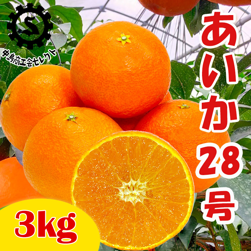 【2025年1月から発送】 愛果28号 約3kg 家庭用 【こうら果樹園】