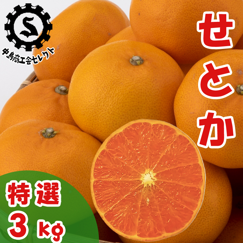 【特選】せとか 3kg 【あまや】 蜜柑 みかん 愛媛 松山 フルーツ 果物 かんきつ 柑橘 カンキツ ミカン mikan mican くだもの 3キロ 数量限定 期間限定 送料無料
