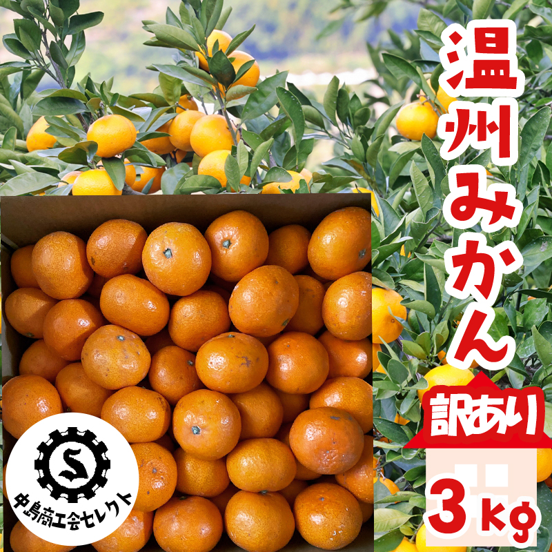 【訳あり】 温州みかん 3kg 【あまや】