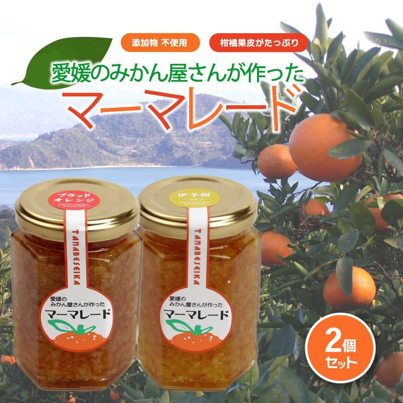 みかん マーマレード 150g×2