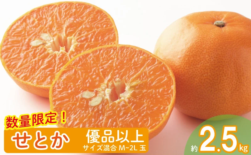 【2026年2月上旬から発送】せとか 優品以上 2.5kg M~2L玉 高級柑橘 みかん 柑橘 みかん フルーツ みかん ミカン みかん 蜜柑 柑橘 果物 くだもの フルーツ グルメ せとか セトカ 柑橘 フルーツ みかん 食べ比べ ミカン みかん 蜜柑 柑橘 果物 くだもの フルーツ おすすめ 高級 柑橘の大トロ「せとか」 人気 お取り寄せ ギフト 期間限定 数量限定 愛媛県 松山市