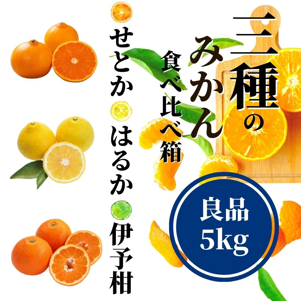 【三種のみかん食べ比べ箱】せとか・はるか・宮内伊予柑 （良品）約5kg ＜2月から順次発送＞ （良品）約5kg