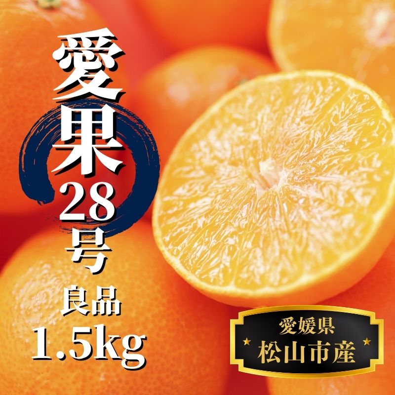 愛果28号 (紅まどんな と同品種)  約1.5kg 良品 【2025年12月～順次発送】 | 蜜柑 柑橘 果物 くだもの フルーツ お取り寄せ グルメ 期間限定 数量限定 人気 おすすめ 愛媛県 松山市 1.5kg