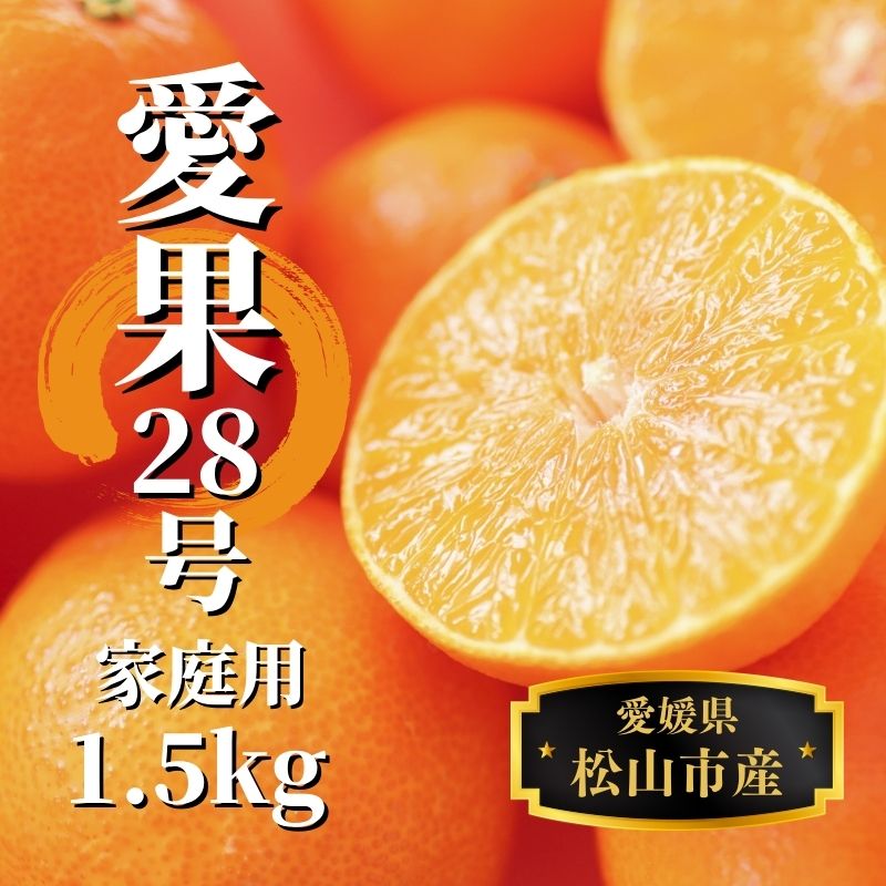  愛果28号 (紅まどんな と同品種) 約1.5kg 家庭用 【2025年12月から順次発送】 | みかん 先行予約 蜜柑 柑橘 果物 くだもの フルーツ お取り寄せ グルメ 期間限定 数量限定 人気 おすすめ 愛媛県 松山市 1.5kg