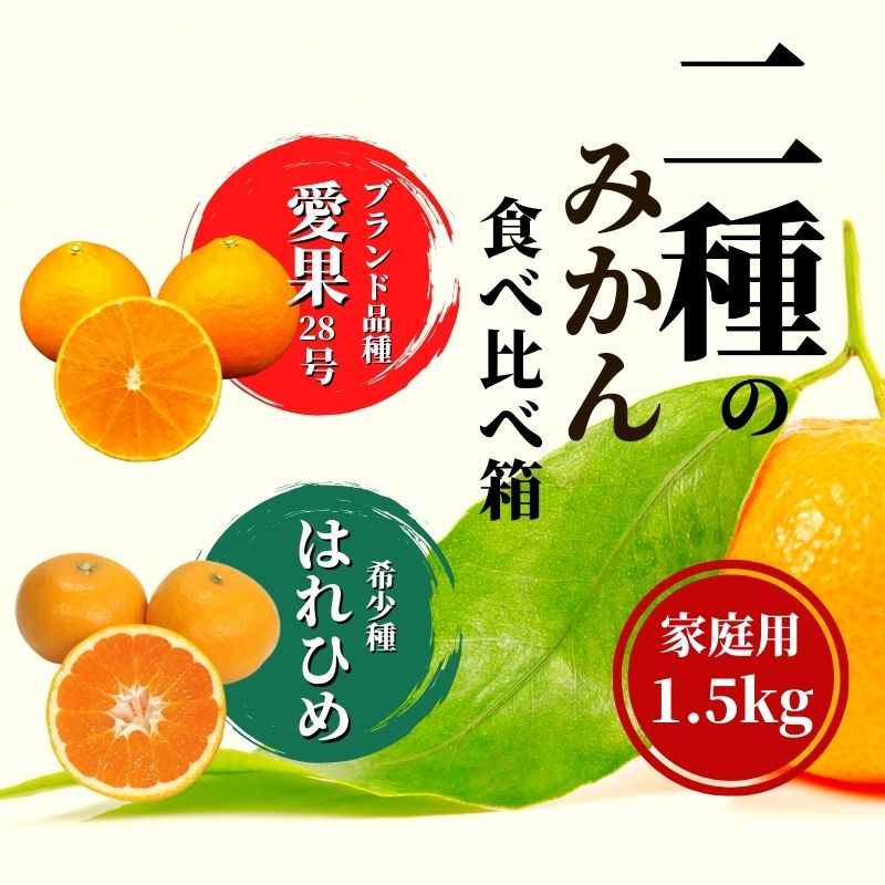 【早期予約受付中！2025年12月～順次発送】二種のみかん食べ比べ箱 【愛果 28 号・はれひめ】 約 1.5kg 家庭用 みかん 先行予約 蜜柑 柑橘 果物 くだもの フルーツ お取り寄せ グルメ 期間限定 数量限定 人気 おすすめ 愛媛県 松山市 1.5kg
