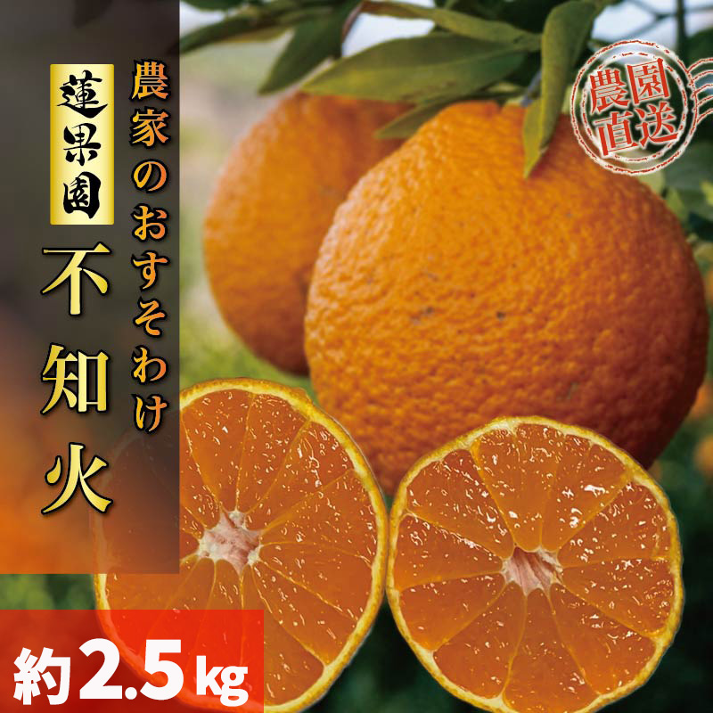 【先行予約】 【2026年2月下旬から発送予定】 不知火 デコポンと同品種  B品 家庭用 2.5kg フルーツ 果物 みかん オレンジ 柑橘 愛媛県松山市 愛媛県 松山市 愛媛 松山 常温 常温便 常温配送 常温発送 約2.5kg