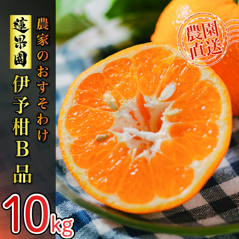 【2026年1月から発送予定】 家庭用 宮内伊予柑 10kg サイズ混合 | 訳あり 柑橘 みかん 果物 くだもの フルーツ おすすめ 人気 お取り寄せ グルメ ギフト 期間限定 数量限定 ご当地 愛媛県 松山市 10kg ¥10,000