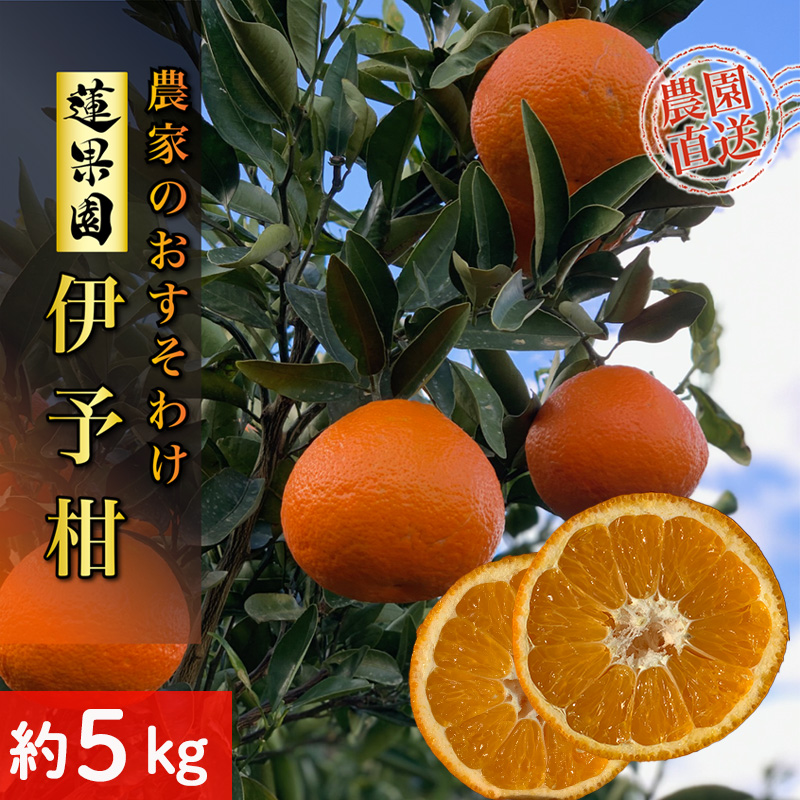 【先行予約】 【2026年1月から発送予定】 家庭用 宮内伊予柑 5kg サイズ混合 | 訳あり 柑橘 みかん 果物 くだもの フルーツ おすすめ 人気 お取り寄せ グルメ ギフト 期間限定 数量限定 ご当地 愛媛県 松山市 5kg ¥5,000