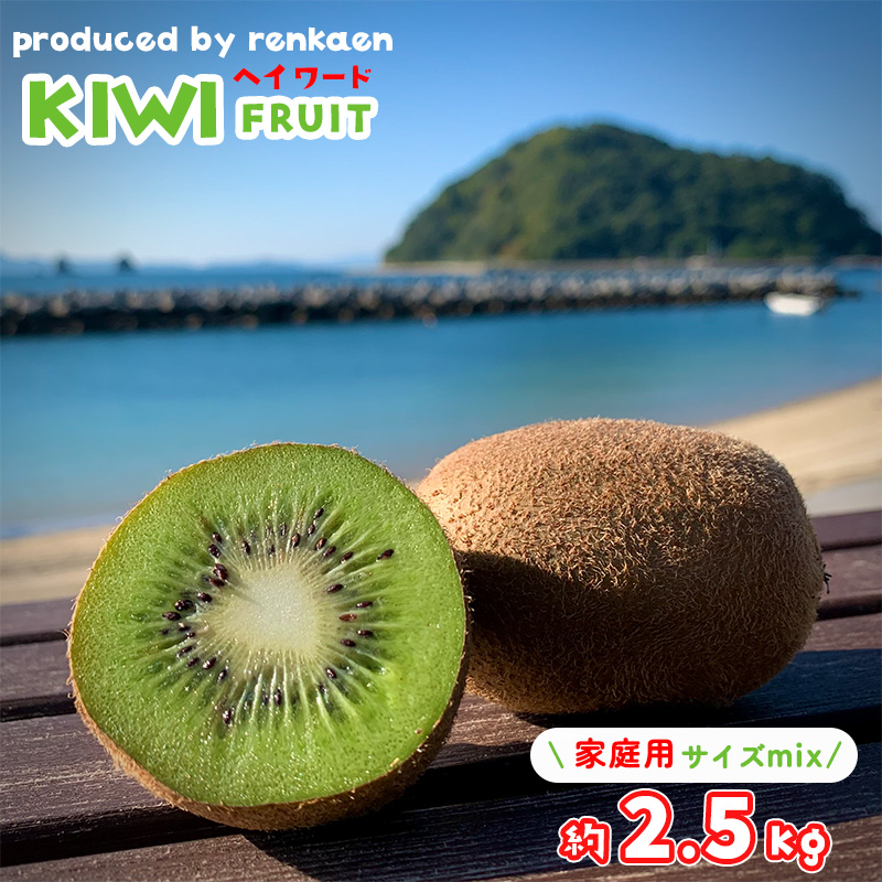 【先行予約】【2025年11月上旬から発送】キウイフルーツ ヘイワード約2.5㎏ 大中小サイズ混合 家庭用 | 松山市産 キウイ 果物 くだもの  フルーツ おすすめ 人気  お取り寄せ 期間限定 数量限定 ご当地 愛媛県 松山市 2.5kg
