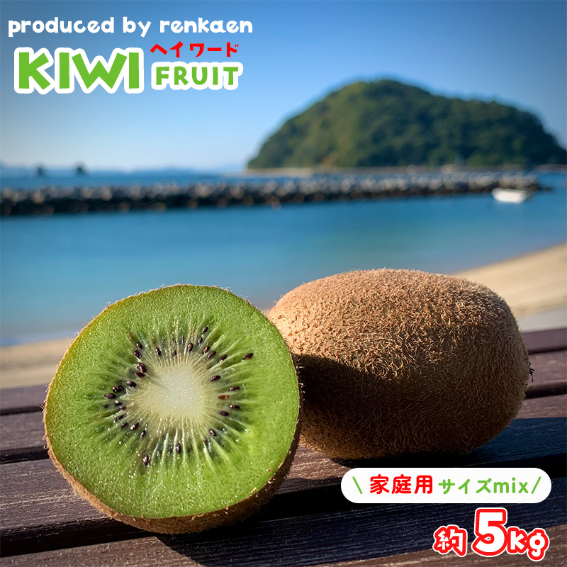 【先行予約】【2025年11月上旬から発送】キウイフルーツ ヘイワード 約5㎏ 大中小サイズ混合 家庭用 | 松山市産 キウイ 果物 くだもの  フルーツ おすすめ 人気  お取り寄せ 期間限定 数量限定 ご当地 愛媛県 松山市 5kg