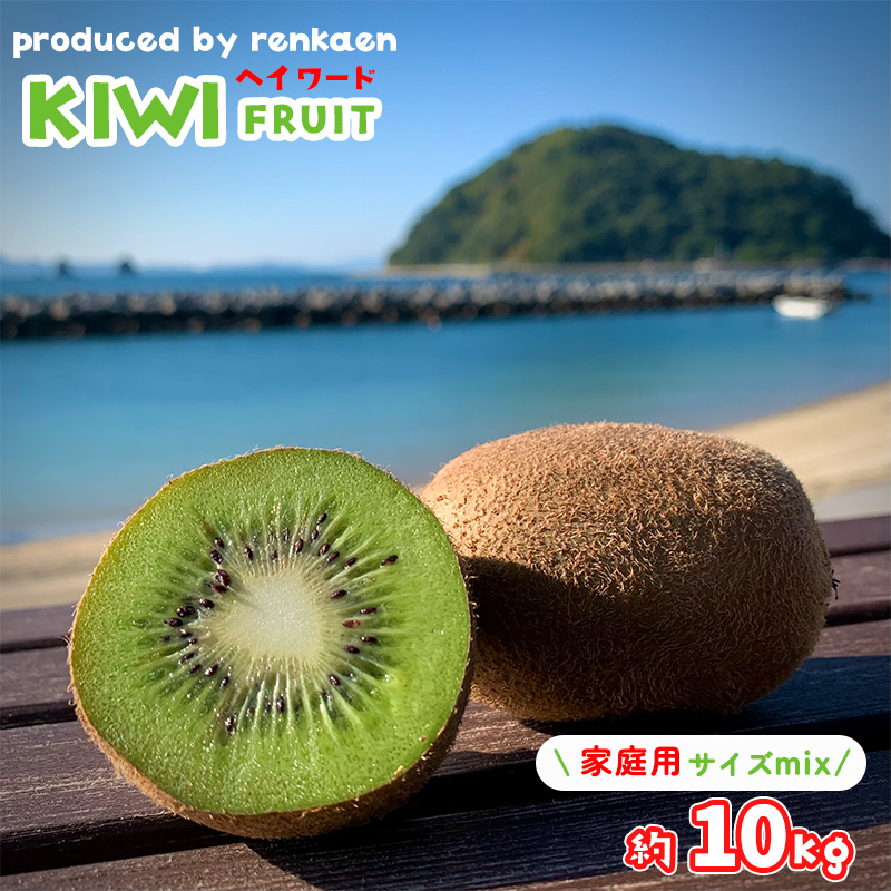 【先行予約】【2025年11月上旬から発送】キウイフルーツ ヘイワード 約10㎏ 大中小サイズ混合 家庭用 | 松山市産 キウイ 果物 くだもの  フルーツ おすすめ 人気  お取り寄せ 期間限定 数量限定 ご当地 愛媛県 松山市 10kg