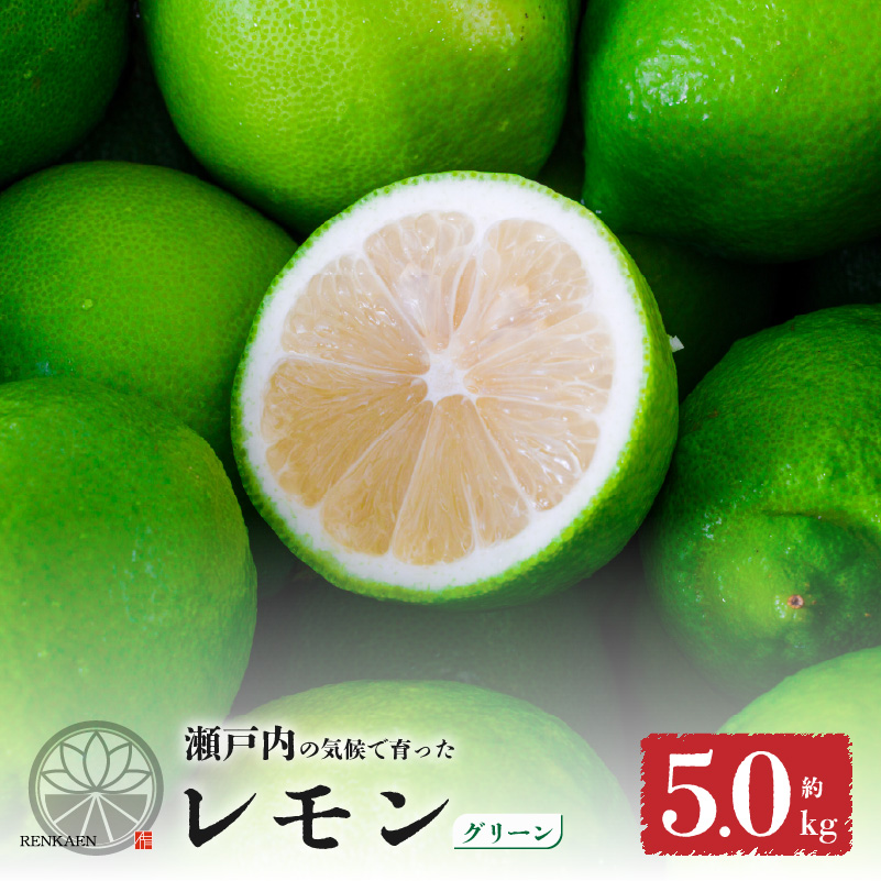 【先行予約】【グリーンレモン】 【 9月から発送】 家庭用 グリーンレモン 約5kg 防腐剤 ワックス 不使用｜ 訳あり レモン 檸檬 完熟 柑橘 酸味 国産 愛媛県産 訳あり 新鮮 愛媛 松山 グリーンレモン 5.0kg ¥12,000