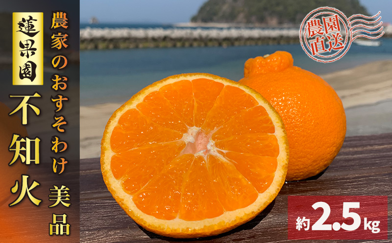 【先行予約】【3月上旬から発送】 不知火(デコポンと同一品種) 美品 約 2.5kg | 蜜柑 柑橘 みかん 果物 くだもの フルーツ おすすめ 高級 人気 お取り寄せ グルメ ギフト 期間限定 数量限定 ご当地 愛媛県 松山市