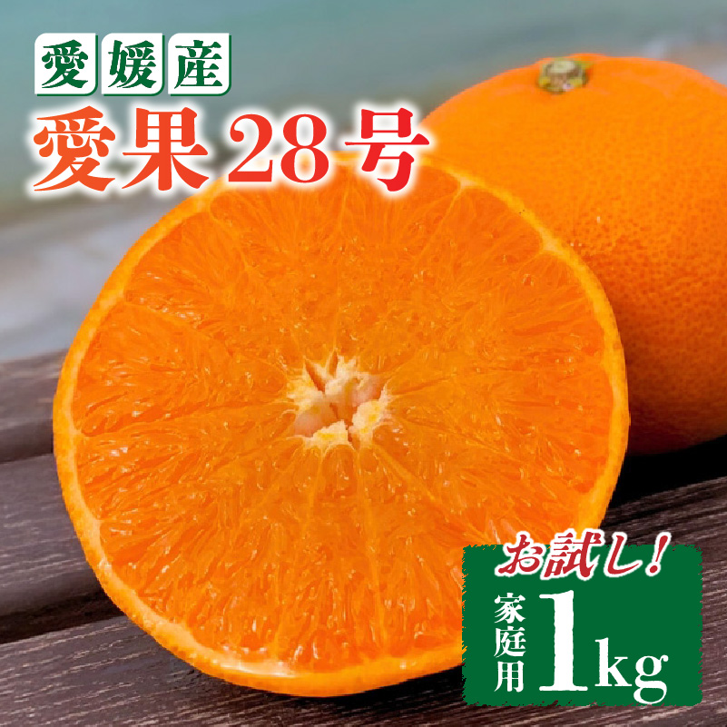 愛果28号 家庭用 お試し1kg(4～5個) 【先行予約 2025年11月下旬から発送】 | 愛果 あいか 紅まどんな 紅マドンナ と 同品種 みかん まどんな ワケアリ 訳あり B品 柑橘 みかん 果物 おすすめ 高級 人気 お取り寄せ グルメ ギフト 期間 ご当地 愛媛県 松山市 蓮果園 お試し 1kg ¥5,000