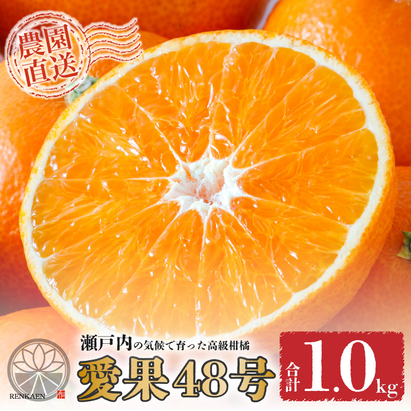 【先行予約】愛果48号 家庭用 お試し1kg(4～5玉)  【2026年3月上旬から発送】 | あいか 新品種 紅まどんな × 甘平 紅プリンセス と同品種 みかん ワケアリ 訳あり B品 柑橘 果物 おすすめ 高級 人気 お取り寄せ グルメ ギフト 期間 ご当地 愛媛県 松山市 蓮果園 お試し 1kg ¥5,000