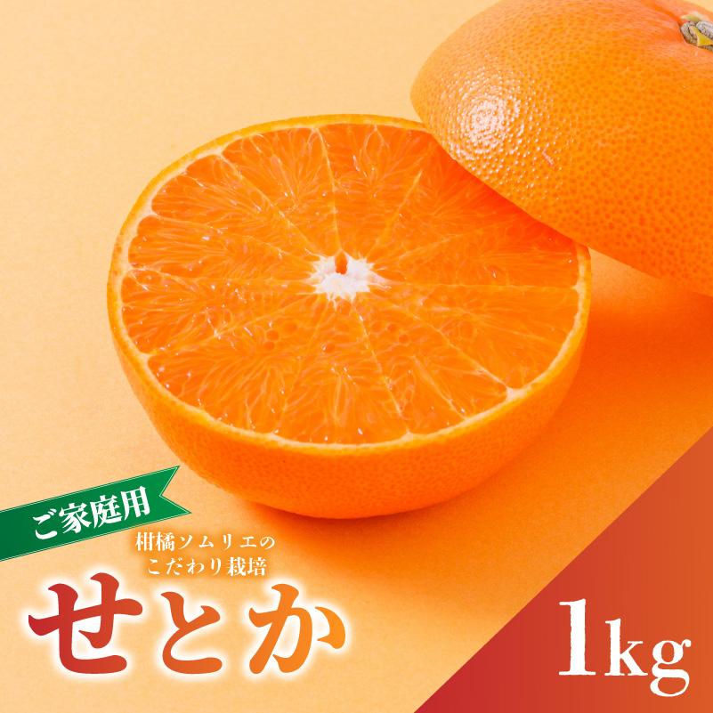 せとか 家庭用 1.0kg 【順次発送中】  | セトカ みかん 蜜柑 柑橘 甘い 高級 先行 予約 果物 フルーツ おすすめ 人気 愛媛三大柑橘（ 紅まどんな せとか 甘平 ） 愛媛 松山 お試し 1kg ¥5,000