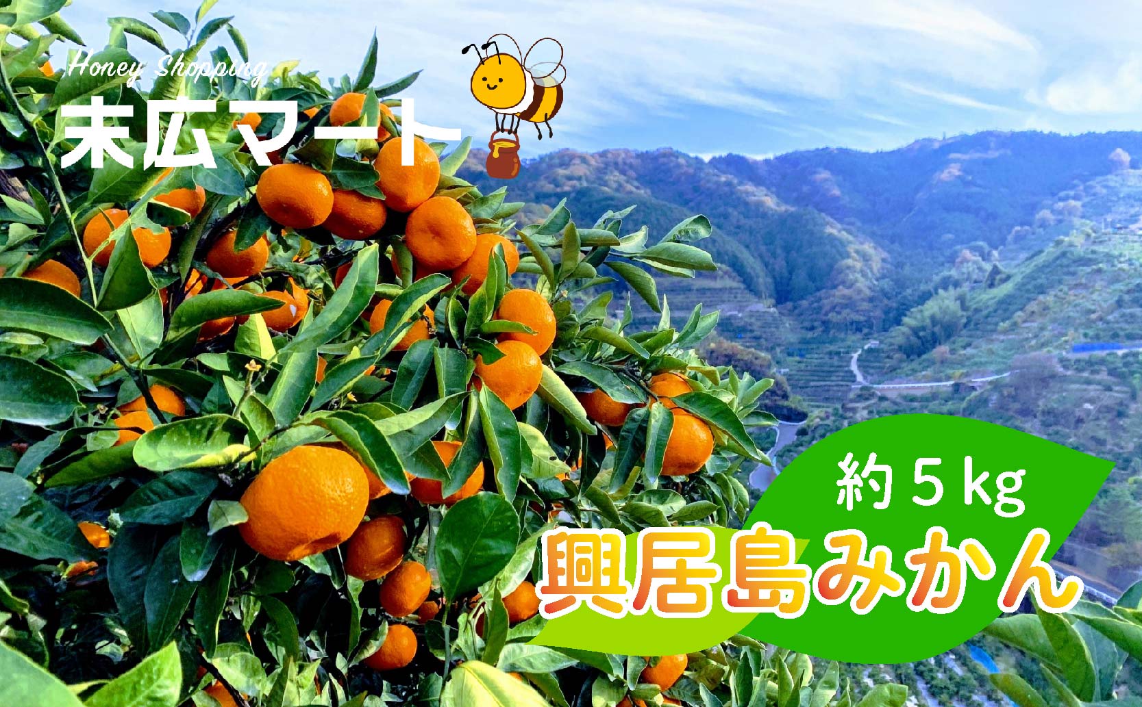 【11月中旬ごろから順次発送】ごご島みかん 約5kg | みかん 蜜柑 柑橘 青果