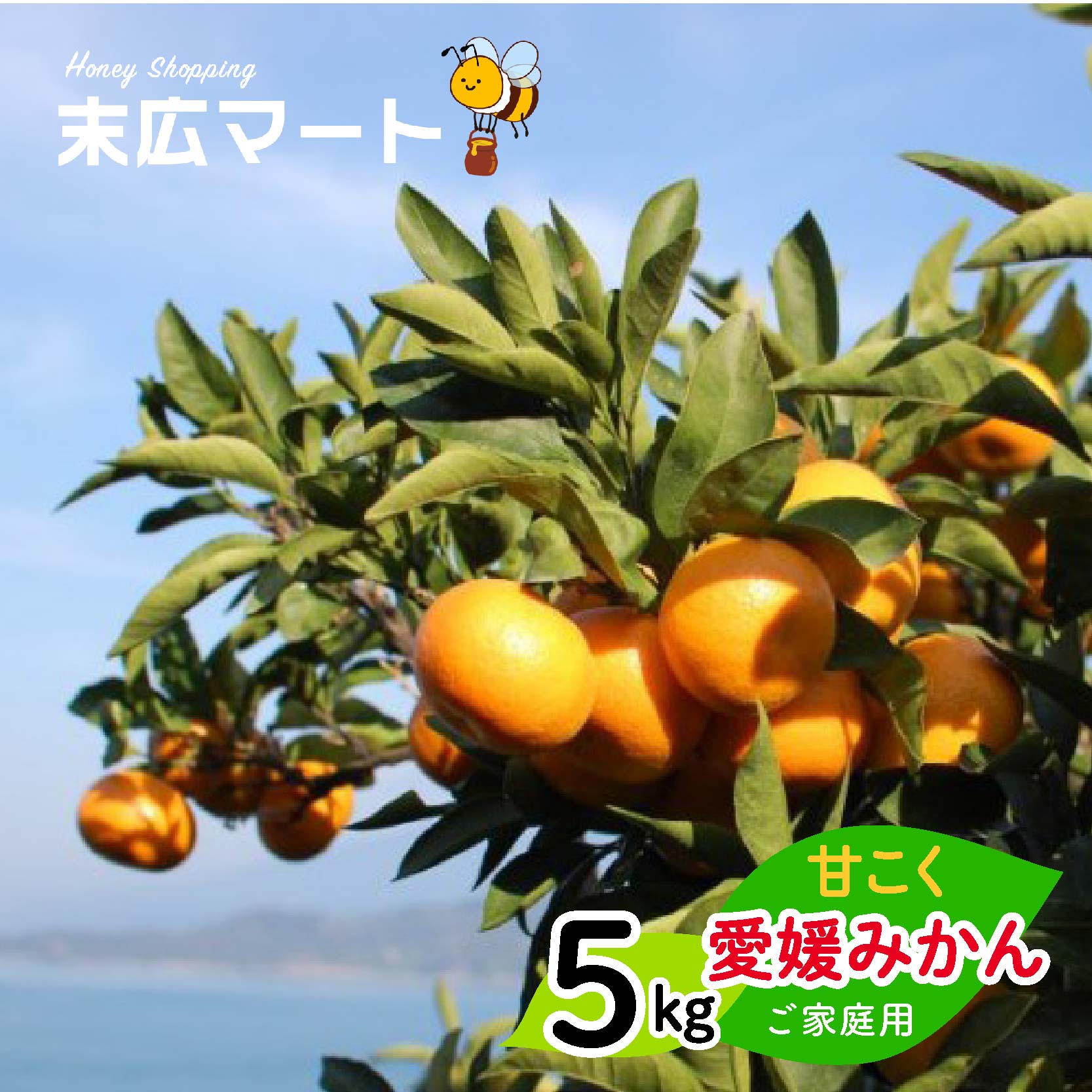 【11月中旬から順次発送】甘こく愛媛みかん 瀬戸内の太陽と潮風で育ったご家庭用 5kg | 蜜柑 みかん 愛媛 松山 フルーツ 果物 くだもの 数量限定 期間限定 送料無料 おすすめ人気 約5kg ¥14,000