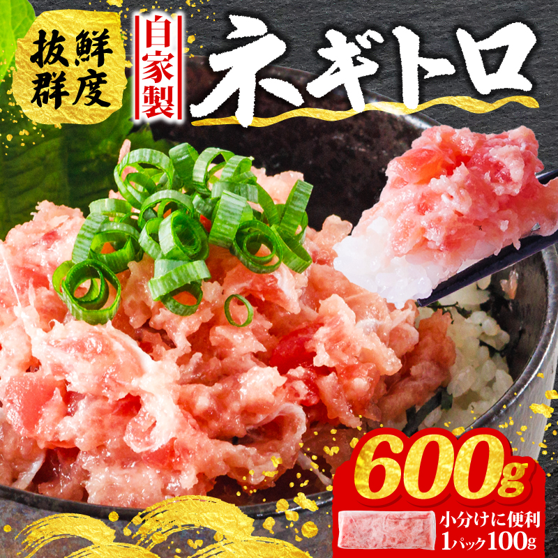 ネギトロ 100g×6パック (600g) まぐろ 鮪 ねぎとろ 冷凍 魚 ねぎとろ,魚介,魚介類 ねぎとろ 海鮮丼 寿司 ねぎとろ丼 愛媛県 松山市 600g ¥6,000
