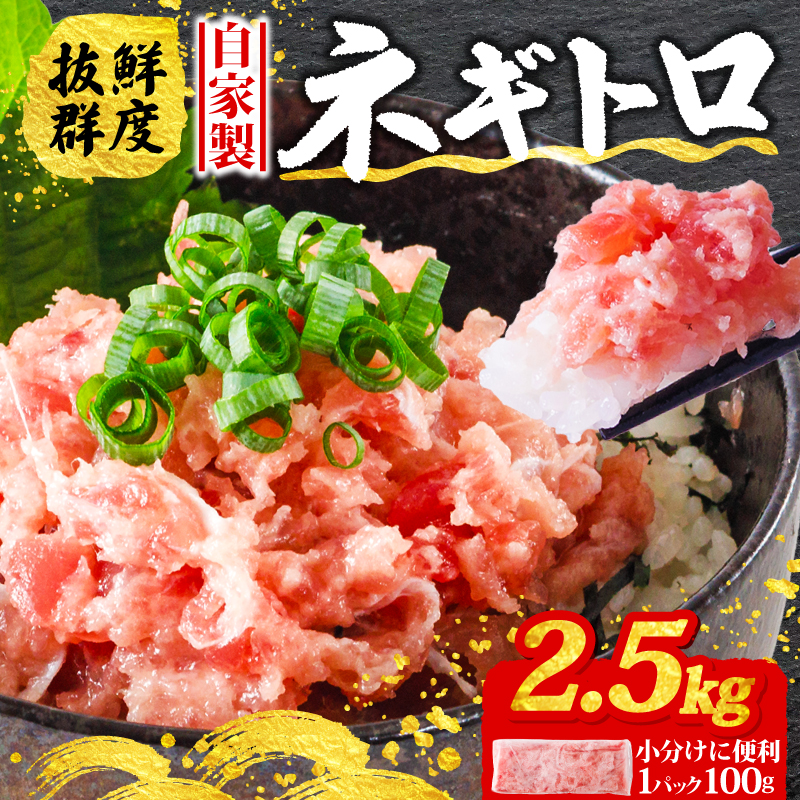 ネギトロ 100g×25パック (2.5kg) まぐろ 鮪 ねぎとろ 冷凍 魚 ねぎとろ,魚介,魚介類 ねぎとろ 海鮮丼 寿司 ねぎとろ丼 愛媛県 松山市 2.5kg ¥22,000