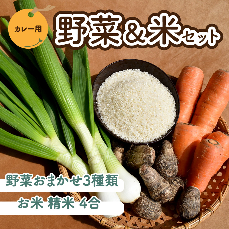 【先行予約】 野菜 米 セット カレー用 農薬不使用 自然栽培 | お米 野菜 里芋 玉ねぎ 人参 さつまいも 農薬 不使用 カレー カレーライス 期間限定 愛媛県 松山市
