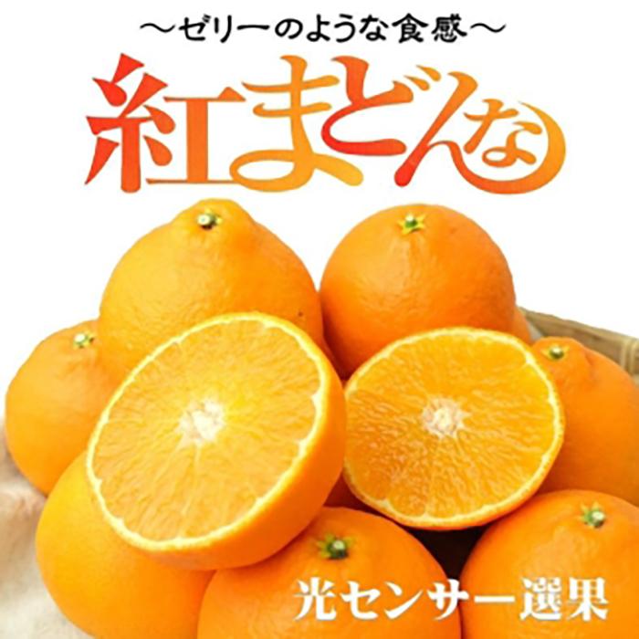 【年内発送】 紅まどんな 約3kg（8~15玉） 愛媛 みかん 紅まどんな 蜜柑 柑橘 果物 くだもの フルーツ 愛媛県 松山市