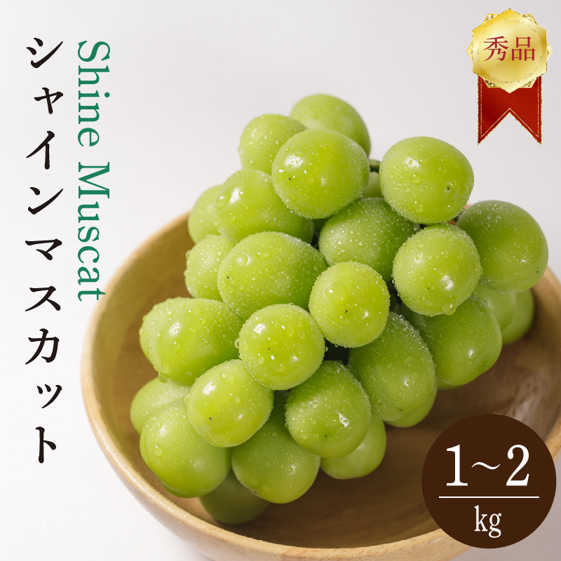 【先行予約 2026年8月下旬から発送】  シャインマスカット 1kg または 2kg 秀品 シャインマスカット マスカット ますかっと ぶどう ブドウ 葡萄 種無し 果物 くだもの フルーツ 旬 期間限定 愛媛県 松山市 2kg(4房または5房) ￥20,000