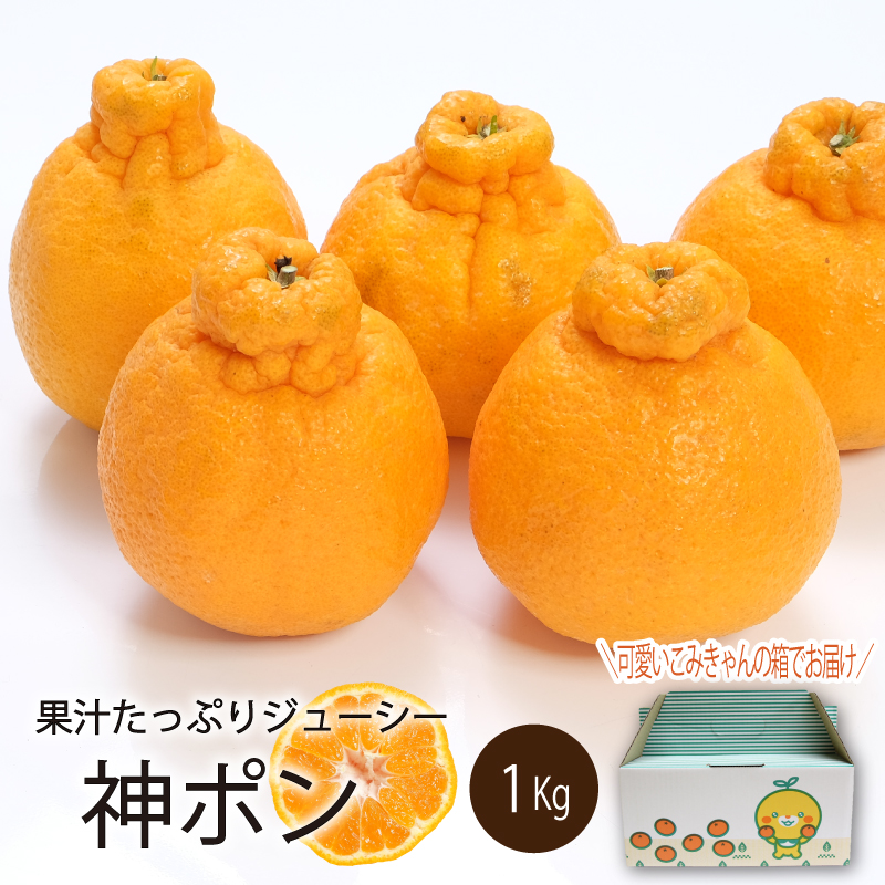 【先行予約】【2026年3月中旬～5月中旬頃順次発送】  神ポン(デコポンと同品種) 1kg｜ 神ポン デコポン と同品種 不知火 柑橘 取り寄せ 甘いみかん 春のみかん ギフト 愛媛県産 ミカン みかん mikan 蜜柑 フルーツ 果物 くだもの お取り寄せ 産地直送 数量限定 人気 おすすめ 送料無料 贈答 愛媛県 松山市