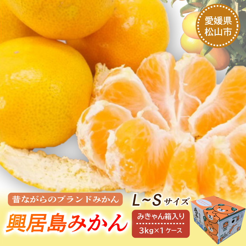 【年内発送】【2025年発送】 興居島みかん 約3kg（L～Sサイズ） みかん 柑橘 興居島 ごごしま ブランド 愛媛県 松山市 3kg(1ケース)