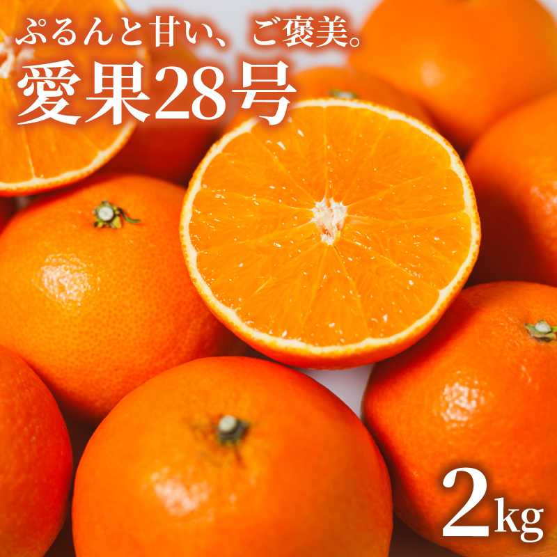 【年内発送】 あいか（紅まどんな と同品種） 2kg 愛果28号 愛媛 みかん あいか あいか28号 愛果 愛果28号 紅マドンナ 紅まどんな と同品種 蜜柑 アイカ 柑橘 果物 贈答 愛媛のみかん くだもの フルーツ あいか ご家庭用 みかん 数量限定  愛媛県産 ミカン 愛果28号 愛媛県 松山市
