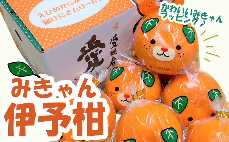 【先行予約】【2026年2月上旬～2月下旬頃発送】 みきゃんいよかん 2kg｜ いよかん 伊予柑 イヨカン みきゃん 柑橘 取り寄せ 甘いみかん ギフト 愛媛県産 ミカン みかん mikan 蜜柑 フルーツ 果物 くだもの お取り寄せ 産地直送 数量限定 人気 おすすめ 送料無料 贈答 ギフト 愛媛県 松山市