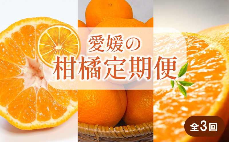 【先行予約】【全3回】 柑橘定期便｜ せとか 神ポン カラマンダリン 不知火 柑橘 定期便 取り寄せ 甘いみかん ギフト 愛媛県産 ミカン みかん mikan 蜜柑 フルーツ 果物 くだもの お取り寄せ 産地直送 数量限定 人気 おすすめ 送料無料 贈答 ギフト 愛媛県 松山市 柑橘定期便全3回