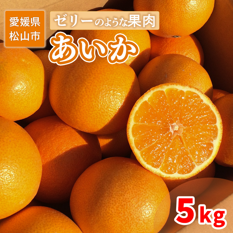 愛果28号 家庭用 5kg 【2025年12月上旬から発送 】 5kg ¥24,000